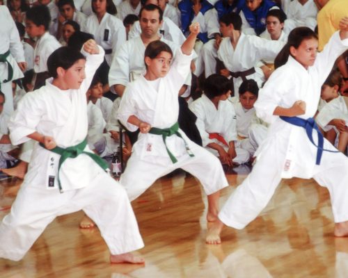 Karate-for-club-gallery-05