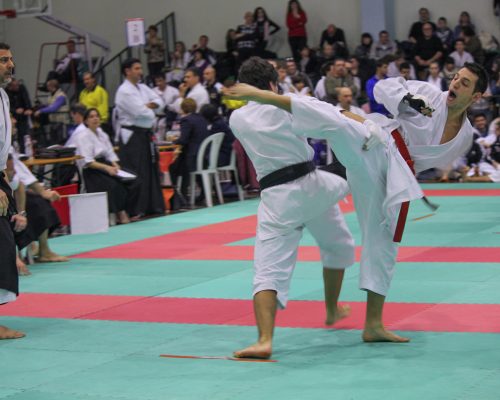 Karate-for-club-gallery-08